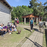 oplus_3145728