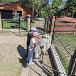 oplus_3145760